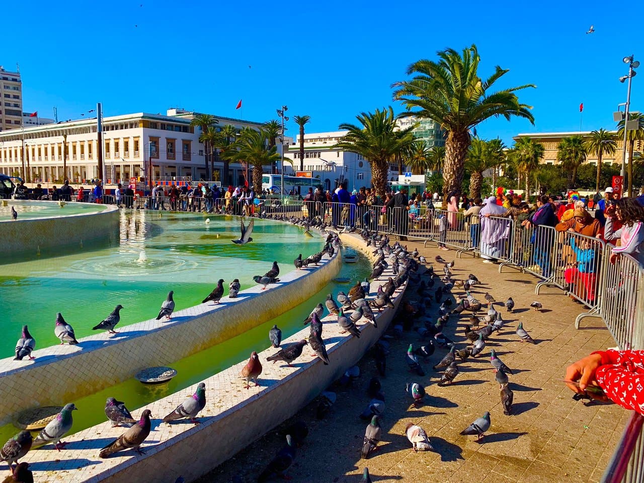 Day Trip from Marrakech to Casablanca