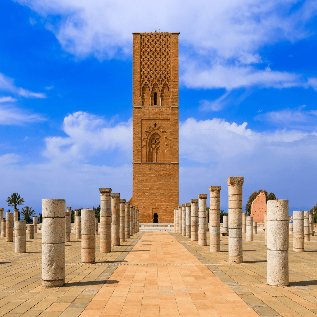 Grand Morocco Journey: Imperial Cities, Blue Pearl & Sahara Desert