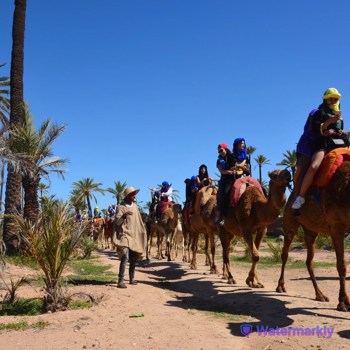 Camel Ride Experience in Marrakech