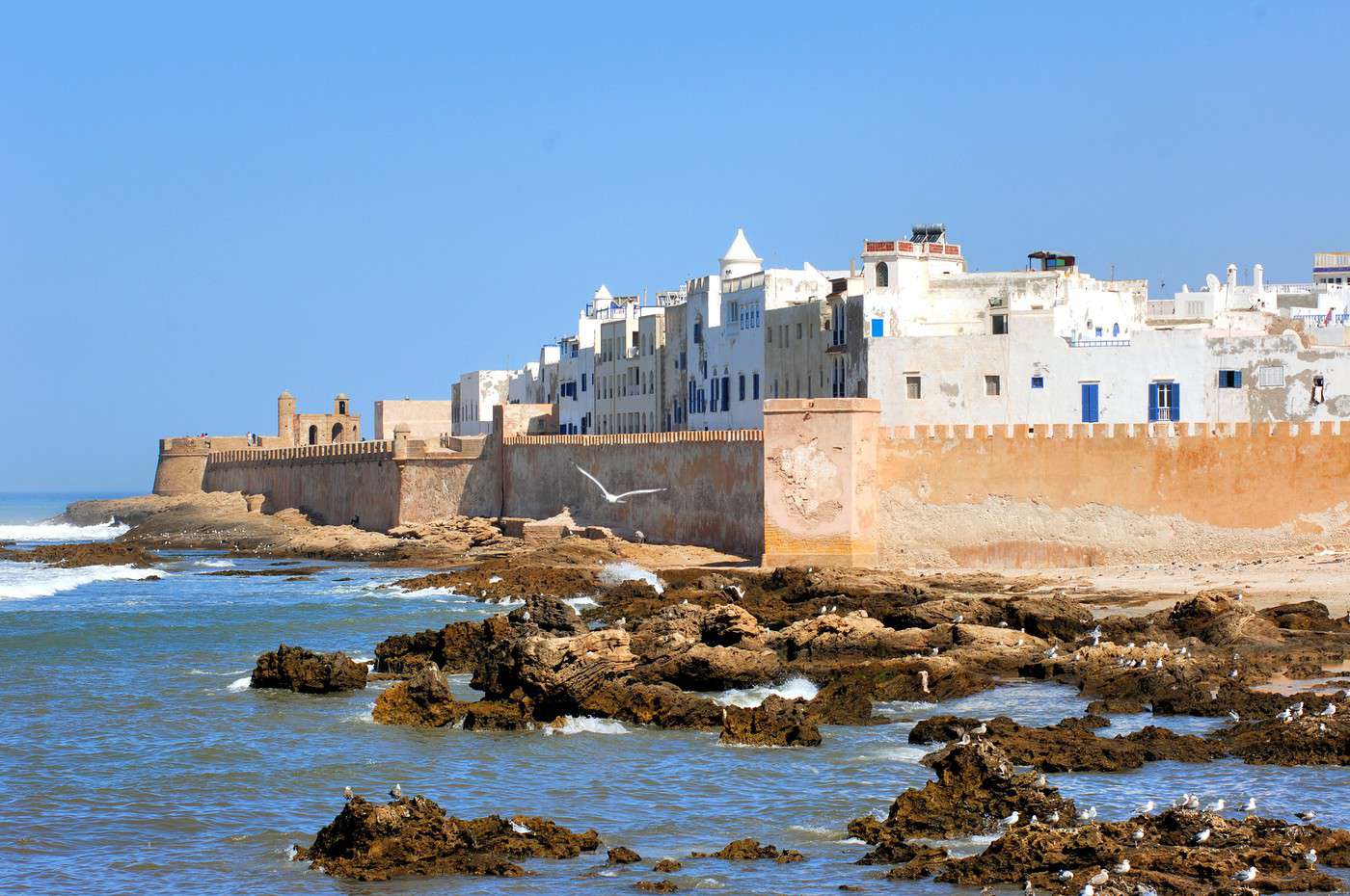 Shared Day Trip from Marrakech to Essaouira – Full Day