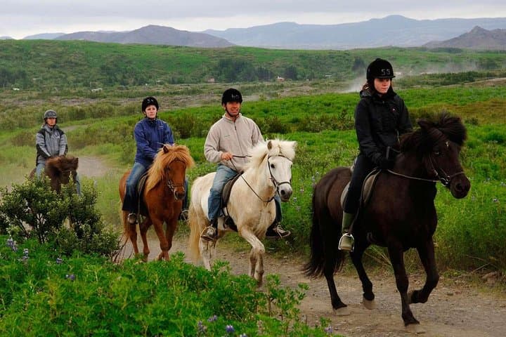 Agadir Horse Ride Experience