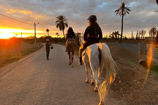 Horse Riding Experience in Marrakech Palmeraie